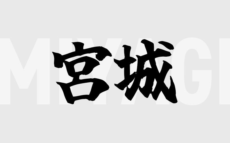 宮城エリアの特色（風俗・メンズエステ業界）